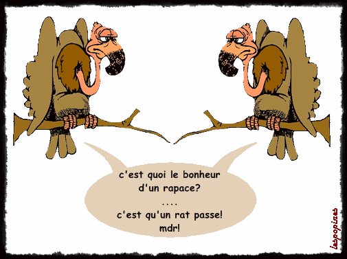 Dialogue politique : Un si long chemin…. Dialogue politique : Un si long chemin….