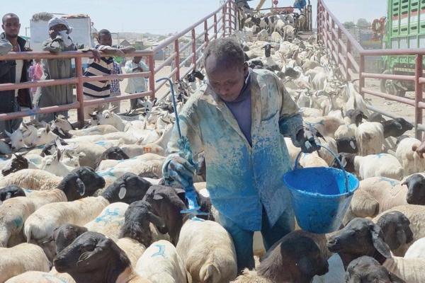 Cinquième Recensement Général de la Population et de Habitat (RGPH) en 2023 Cinquième Recensement Général de la Population et de Habitat (RGPH) en 2023