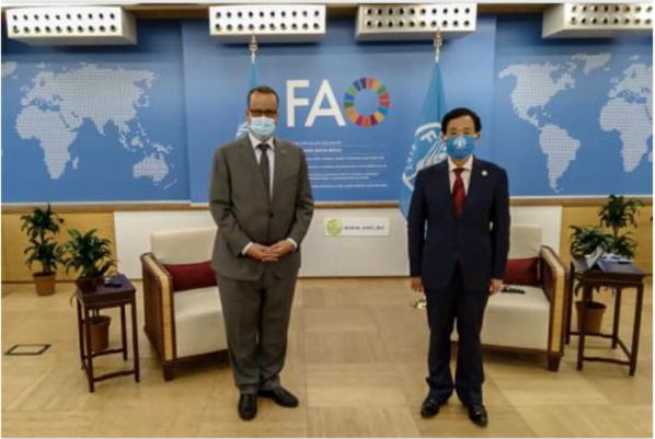 Le ministre des Affaires étrangères reçoit le directeur général de la FAO Le ministre des Affaires étrangères reçoit le directeur général de la FAO