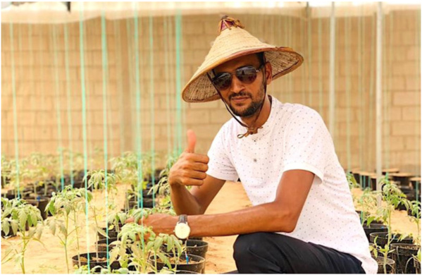 Greenhouse, la start-up Agritech qui révolutionne la production maraîchère en Mauritanienne