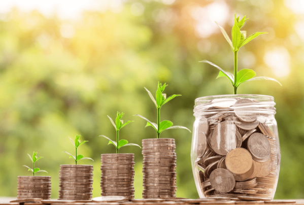 Financement de projets générateurs de revenus au Gorgol