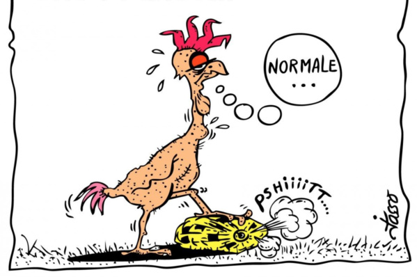 L’Etat a mobilisé cinq milliards d’Ouguiyas pour la modernisation de la ville de Sélibabi (ministre de l’Habitat) L’Etat a mobilisé cinq milliards d’Ouguiyas pour la modernisation de la ville de Sélibabi (ministre de l’Habitat)