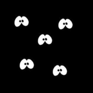 La SOMELEC acquiert des générateurs électriques convoyés ver les wilayas de l'intérieur du pays La SOMELEC acquiert des générateurs électriques convoyés ver les wilayas de l'intérieur du pays