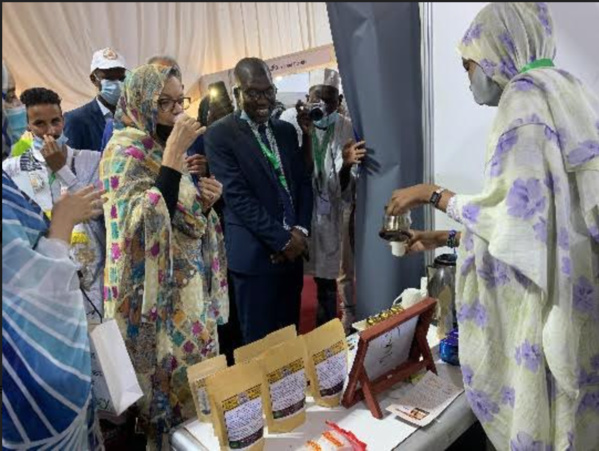 Saha Café hautement appréciée par les officiels à l’exposition organisée en marge de l’atelier organisé par le MEDD sur les emplois verts