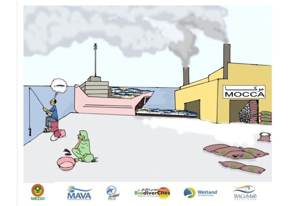 A qui appartient le poisson ? A qui appartient le poisson ?