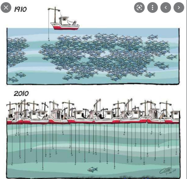 Le ministre des Pêches regagne la capitale en provenance de Dakar