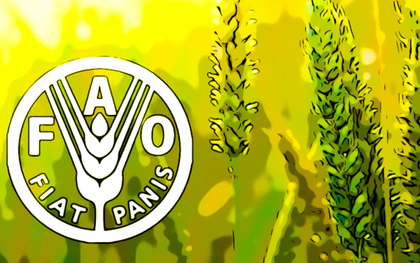 La Mauritanie élue à vice-présidence du groupe Proche-Orient et Afrique du Nord de la FAO La Mauritanie élue à vice-présidence du groupe Proche-Orient et Afrique du Nord de la FAO