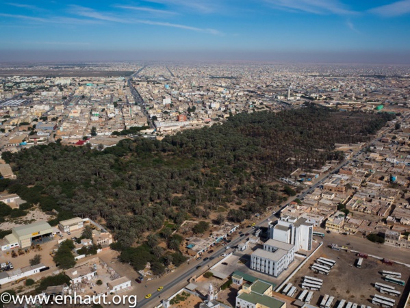 Palmeraie de Nouakchott. Crédit photo : enHaut.org