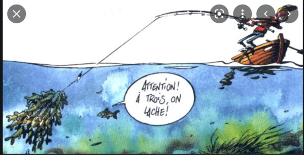 Ministère des Pêches et de l’Économie maritime : Démenti Ministère des Pêches et de l’Économie maritime : Démenti