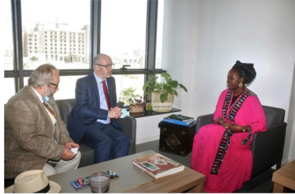 La directrice générale de l'APIM reçoit le directeur du Conseil d'Affaires mauritano-Britannique La directrice générale de l'APIM reçoit le directeur du Conseil d'Affaires mauritano-Britannique