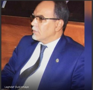 Mémoires d’un chameau égaré ( 1 ) Mémoires d’un chameau égaré ( 1 )