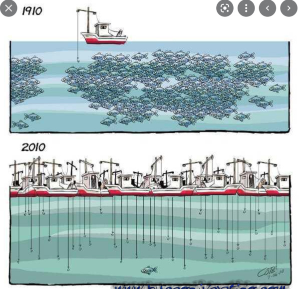 L’accord de pêche entre la Mauritanie et l’union européenne approuvé en conseil des ministres L’accord de pêche entre la Mauritanie et l’union européenne approuvé en conseil des ministres