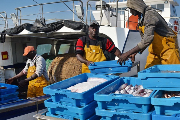 Obligation de débarquement à Nouakchott pour les sennes tournantes de la zone Sud