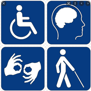 CFPSESH : Former en vue d’insérer des enfants en situation de handicap CFPSESH : Former en vue d’insérer des enfants en situation de handicap