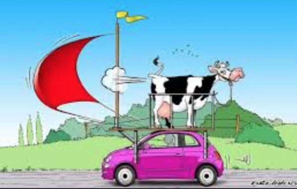 La Mauritanie augmente sa production d’énergies renouvelables La Mauritanie augmente sa production d’énergies renouvelables