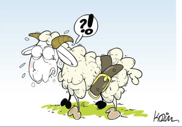 Le ministre de l'Elevage: Le gouvernement rendra disponibles les aliments de bétail dans toutes les capitales régionales Le ministre de l'Elevage: Le gouvernement rendra disponibles les aliments de bétail dans toutes les capitales régionales