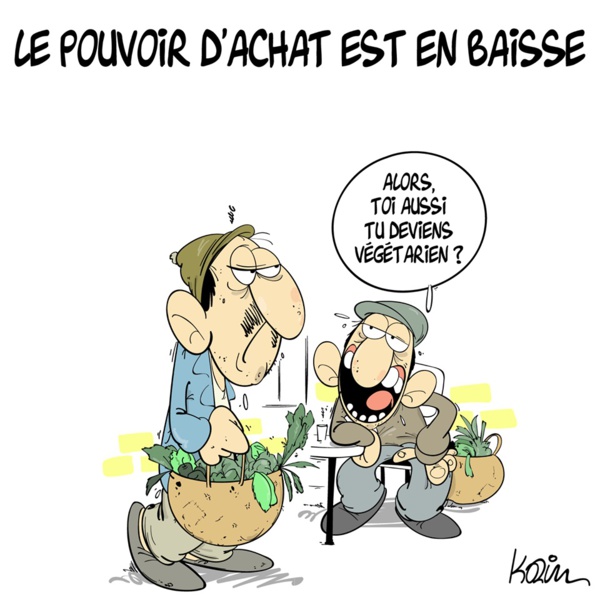 Le ministre de l’agriculture : « le rôle de la SONADER en régression et nous œuvrons à la restructurer » Le ministre de l’agriculture : « le rôle de la SONADER en régression et nous œuvrons à la restructurer »