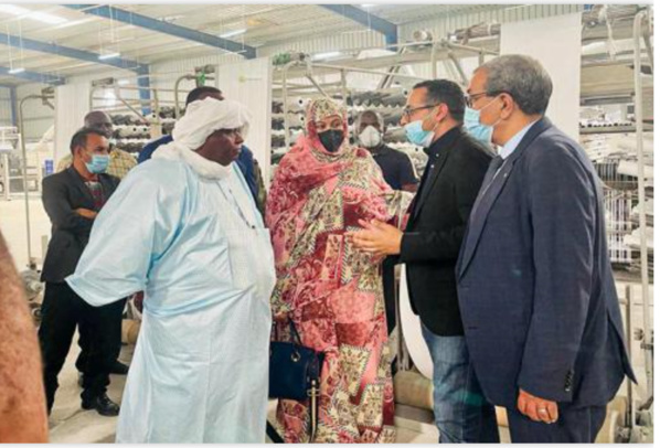 La ministre du commerce et son homologue malien visitent les sociétés Ciment Mauritanie et la Mauritanienne des Fibres Optiques