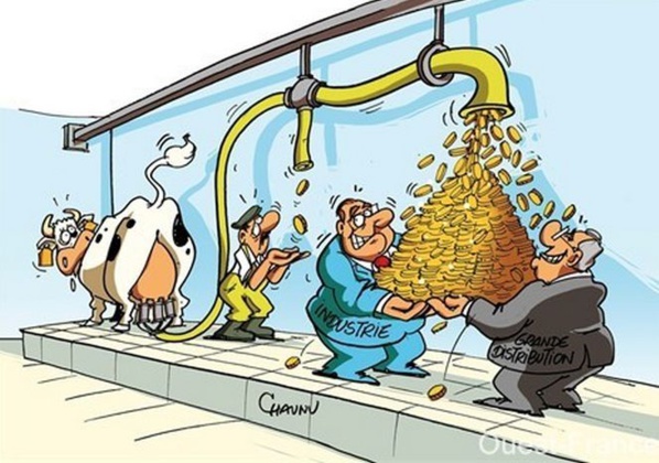 Inauguration d’une plateforme de production laitière à Boghé Inauguration d’une plateforme de production laitière à Boghé