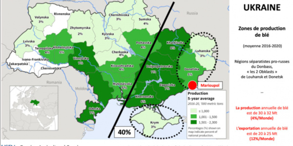 La crise ukrainienne aura-t-elle des répercussions sur l’approvisionnement de la Mauritanie en blé ?