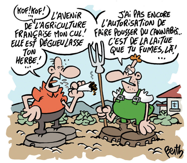 Rosso : une tentative d’introduction de 38 kg de stupéfiants déjouée Rosso : une tentative d’introduction de 38 kg de stupéfiants déjouée