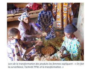 Les femmes surveillantes dans les espaces AGLC (Associations de Gestion Locale Collective)