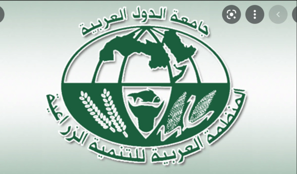 Mauritanie : « notre candidat à l’OADA dispose de toutes les compétences requises » Mauritanie : « notre candidat à l’OADA dispose de toutes les compétences requises »