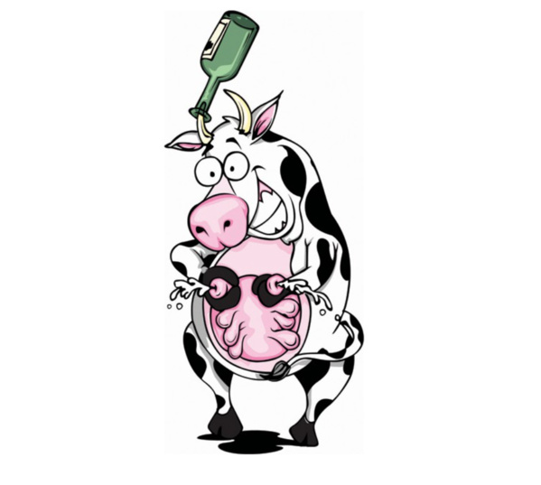 Le ministre de l’Élevage : "Le gouvernement a décidé de réhabiliter la Mauritanienne des produits animaliers" Le ministre de l’Élevage : "Le gouvernement a décidé de réhabiliter la Mauritanienne des produits animaliers"