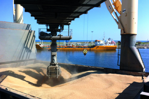 Mauritanie : un nouveau fournisseur du pays en blé Mauritanie : un nouveau fournisseur du pays en blé