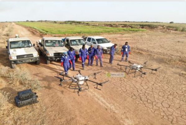 Poursuite des opérations de lutte contre les oiseaux déprédateurs Poursuite des opérations de lutte contre les oiseaux déprédateurs