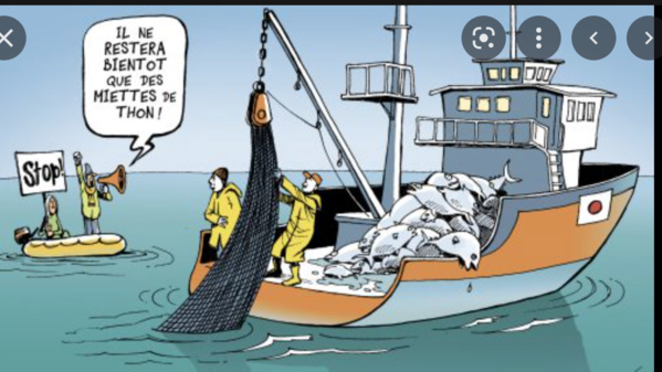 FITI : Le Sénégal invité à suivre l’exemple de la Mauritanie dans le domaine de la pêche industrielle FITI : Le Sénégal invité à suivre l’exemple de la Mauritanie dans le domaine de la pêche industrielle