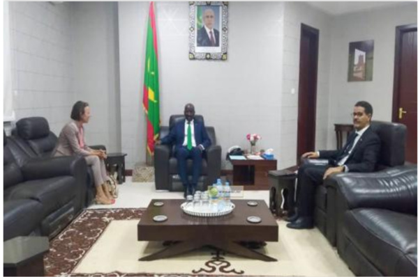 Le ministre des Affaires étrangères reçoit l'ambassadrice allemande Le ministre des Affaires étrangères reçoit l'ambassadrice allemande