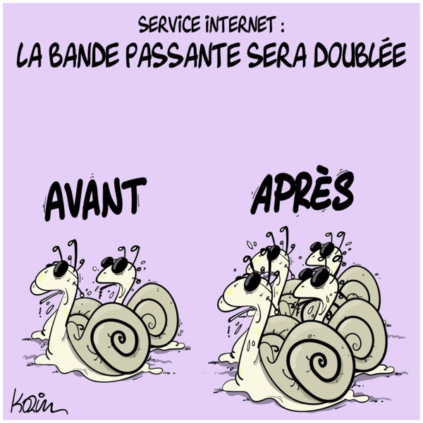 Vers le lancement d'un second câble sous-marin pour renforcer l'Internet Vers le lancement d'un second câble sous-marin pour renforcer l'Internet