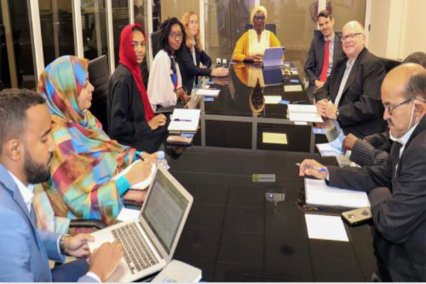 La directrice générale de l'APIM rencontre une délégation du FMI