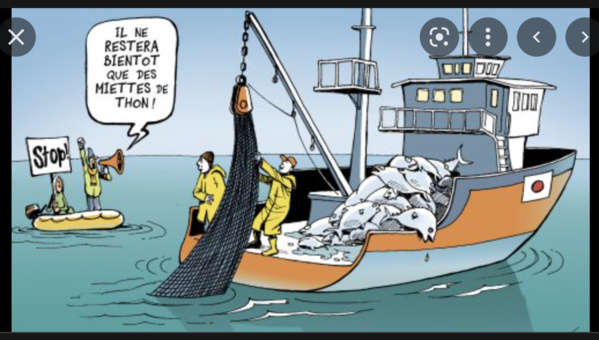 Le ministre des Pêches supervise l'ouverture d'un symposium international sur les petits pélagiques et leurs habitats