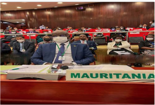 Le ministre des Affaires étrangères participe aux travaux de deux sessions extraordinaires du Conseil exécutif de l'Union Africaine