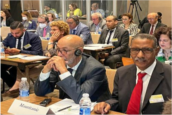 La Mauritanie participe au Sommet Euro-méditerranéen des Conseils économiques et sociaux