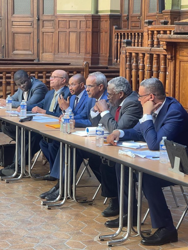 Aujourd'hui à l'Institut Mandela à Paris : discours de SEM. Cheikhna Ould Nenni Ould Moulaye Zeine 