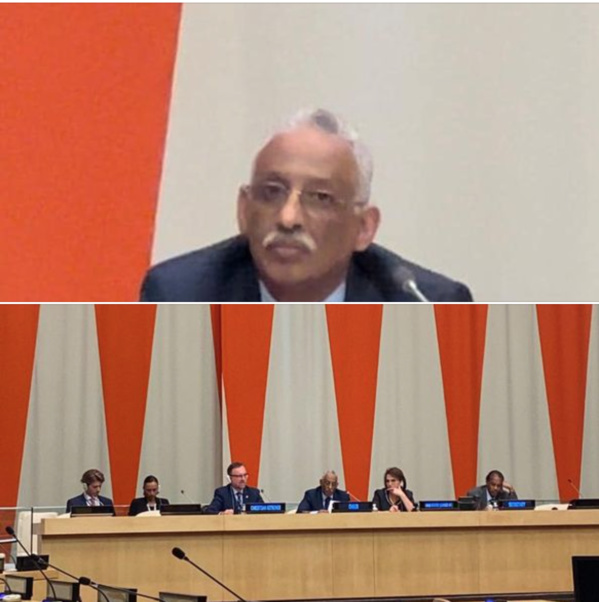 La Mauritanie dirige le groupe arabe à New York pour juin 2022 La Mauritanie dirige le groupe arabe à New York pour juin 2022