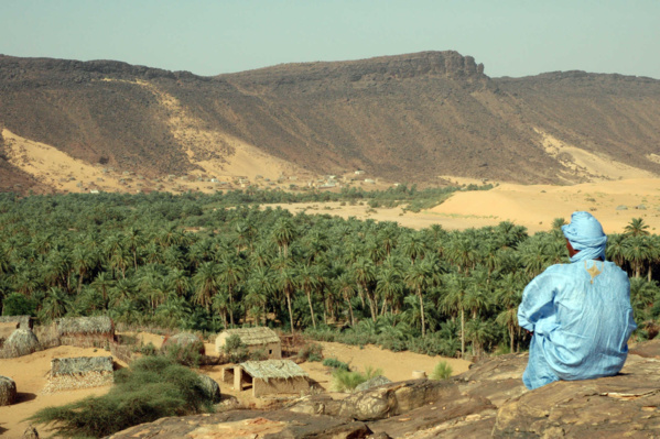 Ministre de l'Agriculture : Nous assurerons l'irrigation pour plus de 150 mille palmiers dans les anciennes oasis de l'Adrar