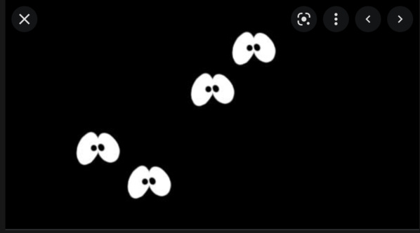 Porte-parole du gouvernement : Les délestages résultent de l’absence d’investissement à certains niveaux Porte-parole du gouvernement : Les délestages résultent de l’absence d’investissement à certains niveaux