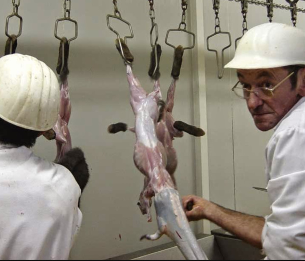 Trafic de visas : à Dakar, la police démantèle le réseau d'escrocs qui a grugé des millions à des Mauritaniens Trafic de visas : à Dakar, la police démantèle le réseau d'escrocs qui a grugé des millions à des Mauritaniens