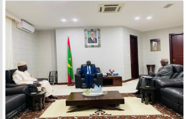 Le ministre des Affaires étrangères reçoit l'ambassadeur du Mali