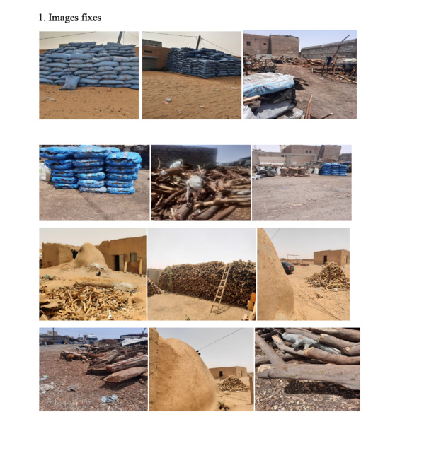 Ripostes africaines à la désertification Ripostes africaines à la désertification