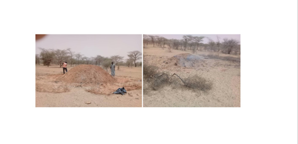 Ripostes africaines à la désertification Ripostes africaines à la désertification