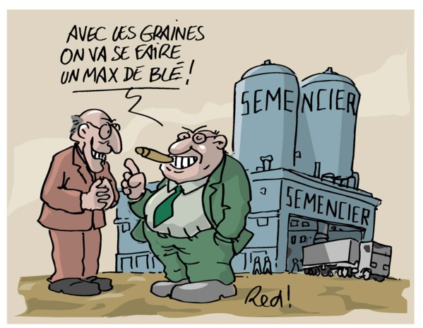 Distribution de 110 tonnes de semences traditionnelles pour appuyer les cultures sous pluies au Barkna Distribution de 110 tonnes de semences traditionnelles pour appuyer les cultures sous pluies au Barkna