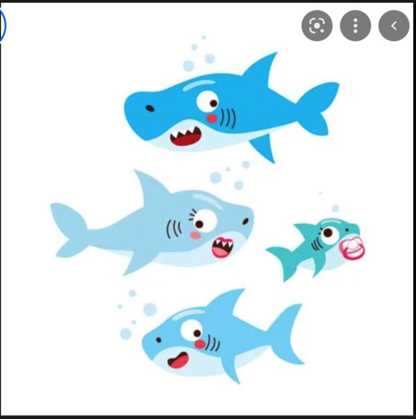 Nomination du président et des membres du conseil national de la jeunesse Nomination du président et des membres du conseil national de la jeunesse