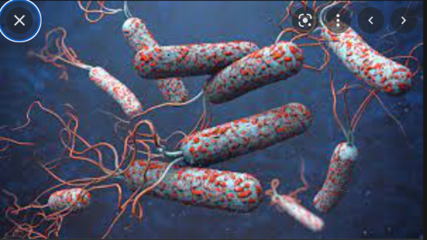 Le Ministère de la Santé nie l’existence à Nouakchott de cas de choléra Le Ministère de la Santé nie l’existence à Nouakchott de cas de choléra