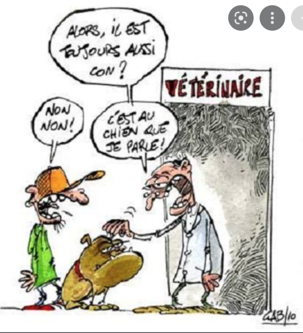 Directeur des services vétérinaires : “Le ministère a pris un certain nombre de mesures pour lutter contre la fièvre de la vallée du Rift” Directeur des services vétérinaires : “Le ministère a pris un certain nombre de mesures pour lutter contre la fièvre de la vallée du Rift”