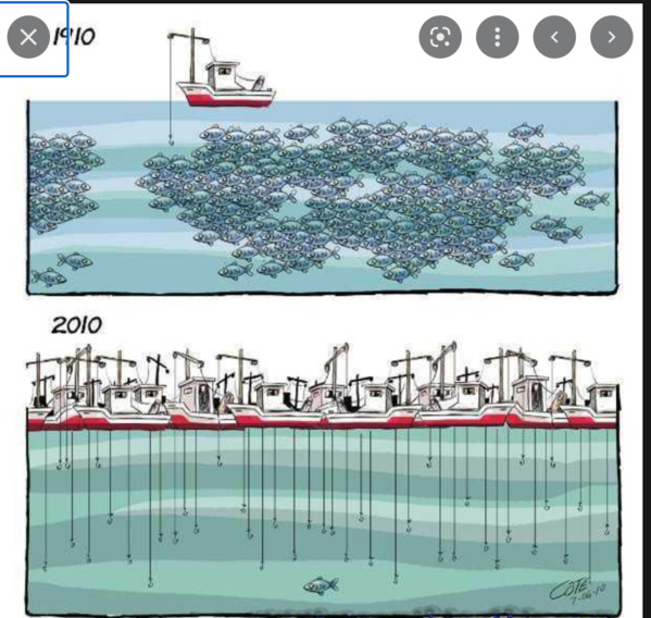 Malgré l’obtention d’une licence du Ministère de l’Économie, les garde-côtes ferment une usine de bateaux de pêche